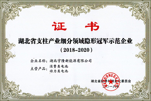 湖北省支柱产业细分领域隐形冠军示范企业