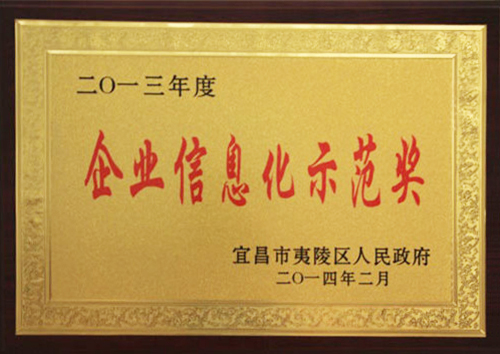 企业信息化示范奖